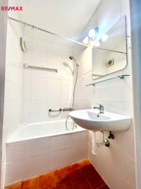 REMAX Delux