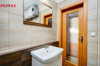 REMAX Delux
