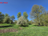 REMAX Delux
