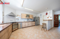 REMAX Delux