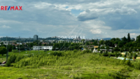 2902430.jpg