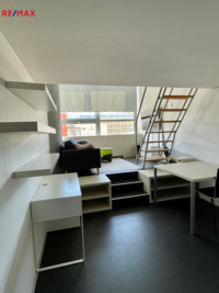 REMAX Brno