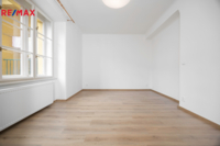 REMAX Delux