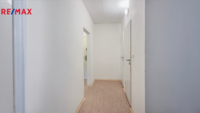 REMAX Delux
