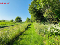 REMAX Delux