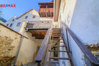 REMAX Delux