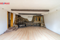 REMAX Delux
