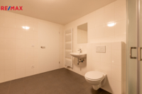 REMAX Delux