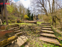REMAX Delux