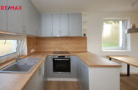 REMAX Delux
