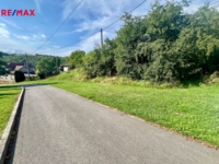 REMAX Delux