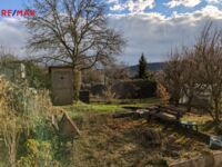 REMAX Delux