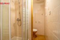 REMAX Delux