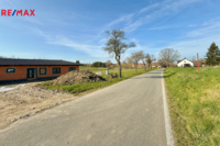 REMAX Delux