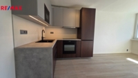 REMAX Delux