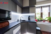 REMAX Delux