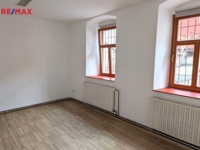 REMAX Delux