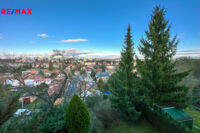 REMAX Delux