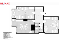 REMAX Delux