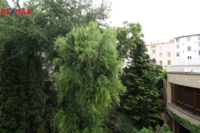 2940657.jpg
