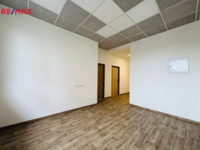 REMAX Delux