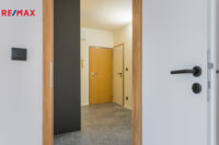 REMAX Delux