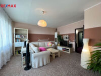 REMAX Delux