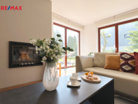 REMAX Delux