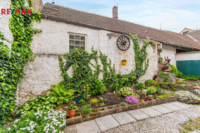 REMAX Delux