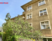 REMAX Delux