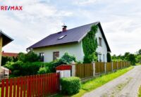 REMAX Delux