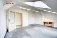 REMAX Delux