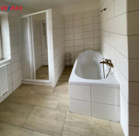 REMAX Delux