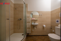 REMAX Delux