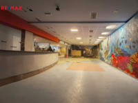 REMAX Delux