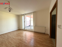 REMAX Delux