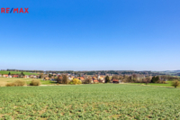 REMAX Delux