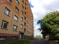 REMAX Delux