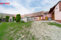 REMAX Delux