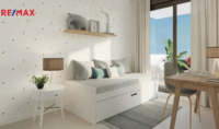 REMAX Delux
