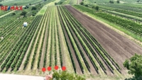Prodej pozemku, 1941 m2, Rakvice