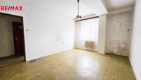 REMAX Delux