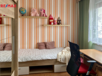 REMAX Delux