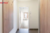 REMAX Delux