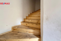 REMAX Delux