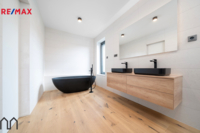 REMAX Delux