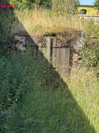 2942682.jpg