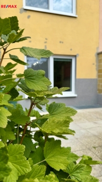 Brno