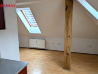 REMAX Delux
