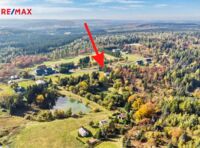REMAX Delux